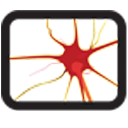 Does Opioid Cessation Prior to Surgery Help or Hurt?