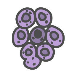 COVID-19 Update: Casinos Get Reopening Rules but No Start Date, Hospitality Group Publishes Guidelines, and More